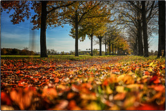 Natur vor der Haustür