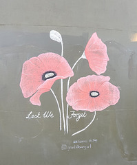 "Anzac" poppies