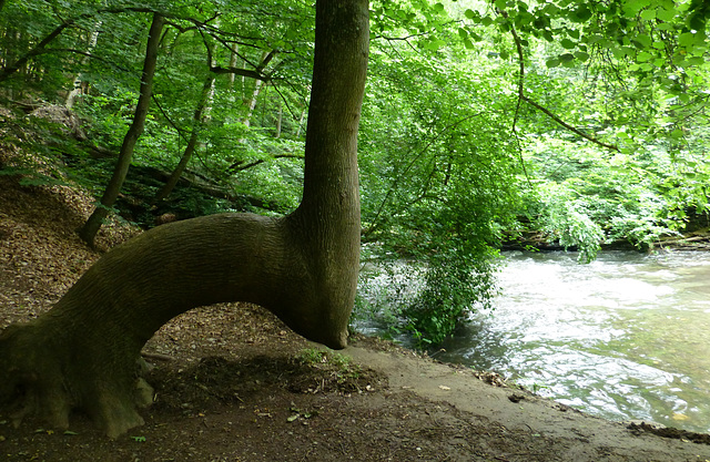 Auf dem Pyrmonter Felsensteig