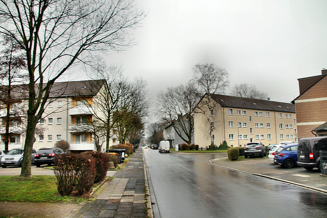 August-Kaiser-Straße (Recklinghausen) / 11.12.2021