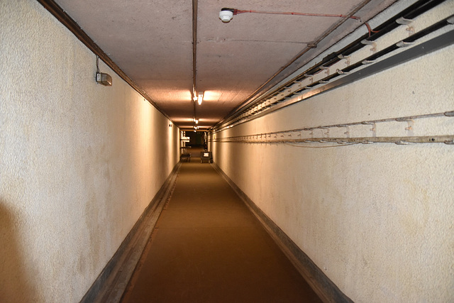 khnsb (1011)