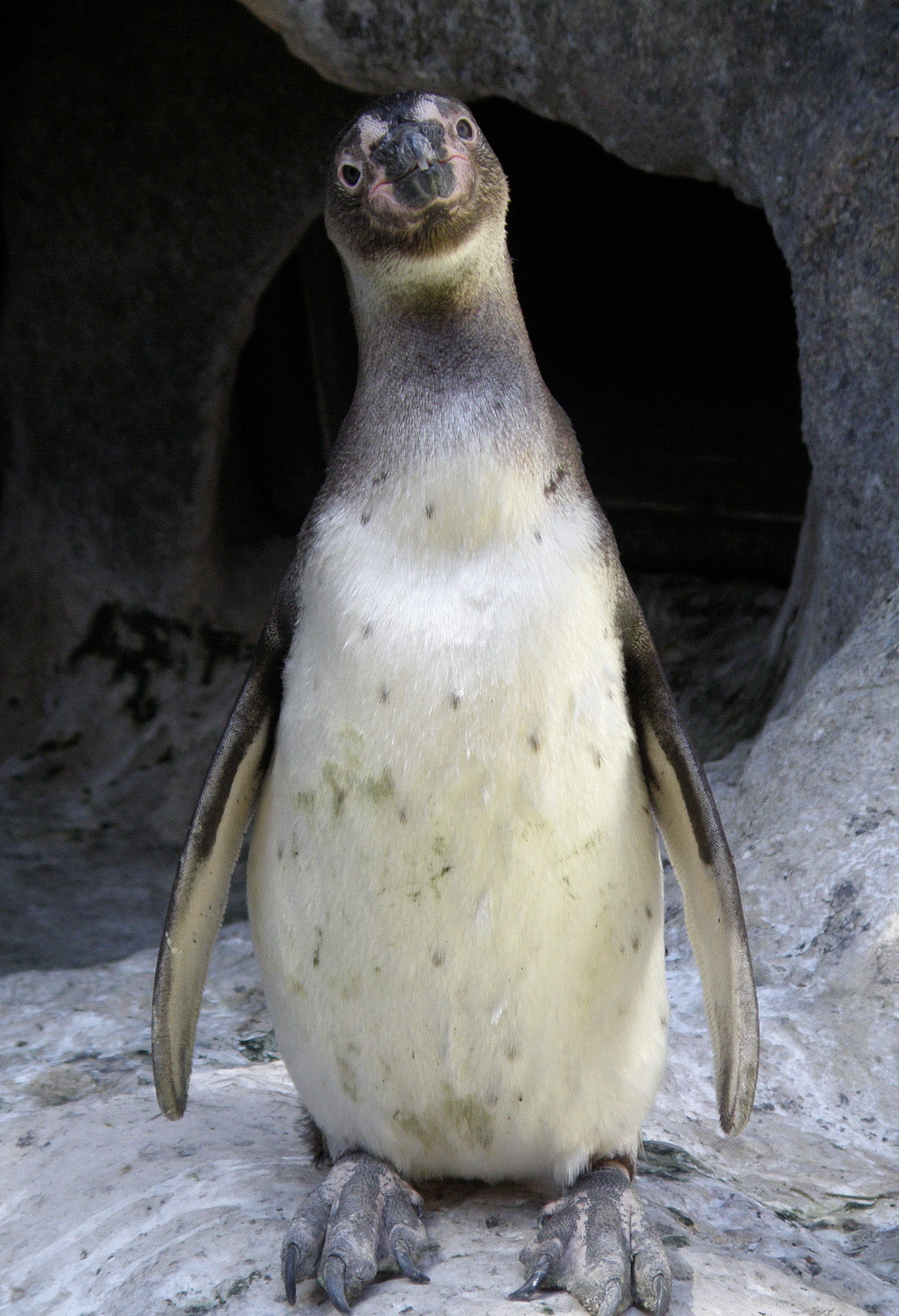 You Looking At Me?