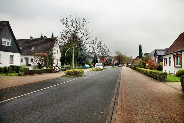 Im Hirschkamp (Waltrop) / 2.11.2017