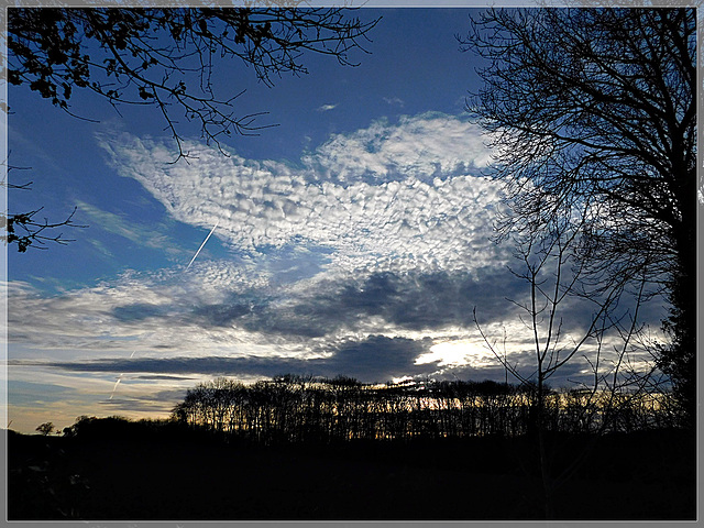 Promenade au bord de Rance (22)