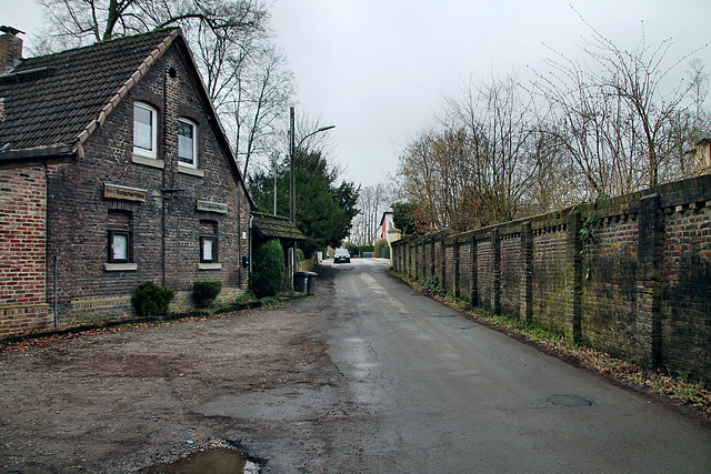 Reiterweg (Wattenscheid-Höntrop) / 17.02.2024