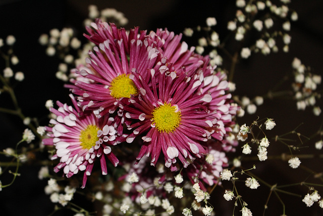 Bouquet 2