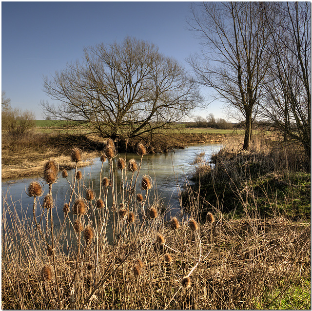 The Great Ouse at Cosgrove