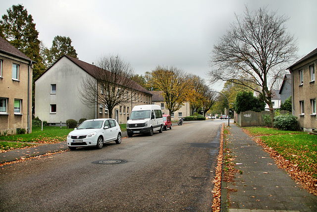 Husemannstraße (Waltrop) / 2.11.2017