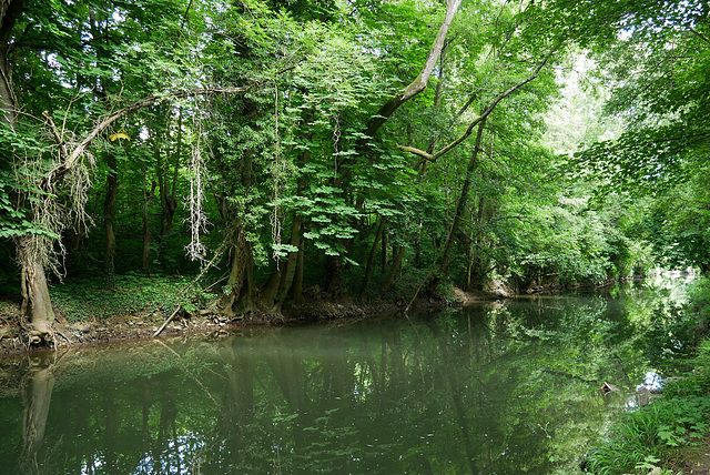 Amazone-sur-Essonne (3)