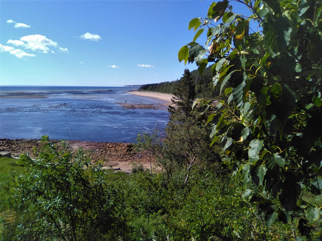 Feuillage et rivage / Shore's foliage (Québec)