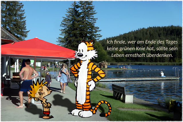 Calvin & Hobbes am Badeweiher