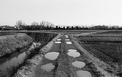 Puddles_2