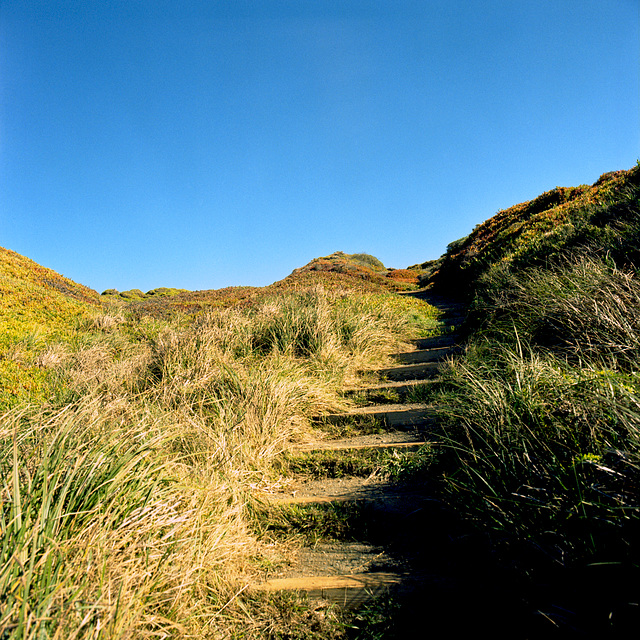 Stairway to Heaven