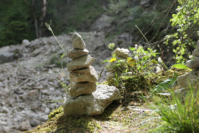 Pöllatschlucht (pip)