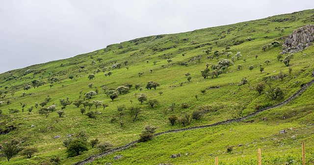 Snowdonia landscape3