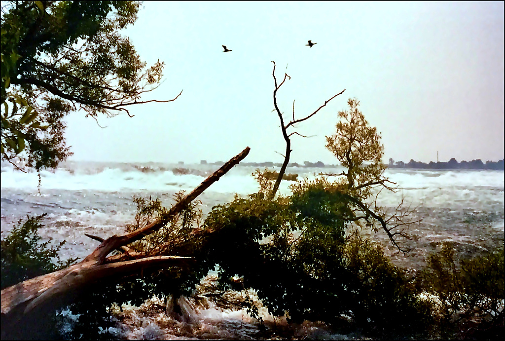 The flow after Niagara fall