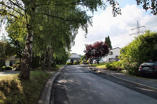 Friedrich-Ebert-Straße (Fröndenberg-Dellwig) / 11.06.2022