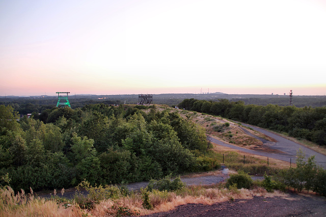 Halde Hoheward, Herten / 24.06.2023