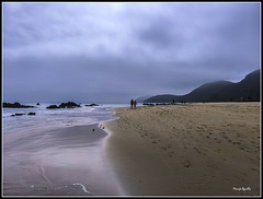 Playa con niebla mañanera