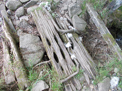 waf[25]/bri[25] - bridge over tiny tributary