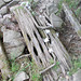 waf - bridge over tiny tributary