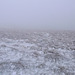 DSCF3077