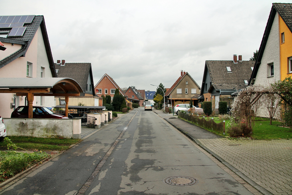 Grenzmarkstraße (Siedlung Beisenkamp, Datteln) / 5.01.2018