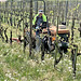 Ich, mit dem Carraro und Gras-Unterstock-Mulcher