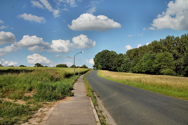 Strickherdicker Weg (Fröndenberg-Dellwig) / 11.06.2022