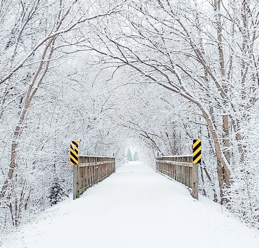 January in Michigan