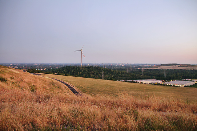 Halde Hoheward, Herten / 24.06.2023