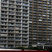 Les chinois sacrément optimistes , dans le Triangle de Choisy à Paris .