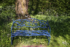 Blue Bench