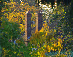 Neighbour's chimneys, October 2015