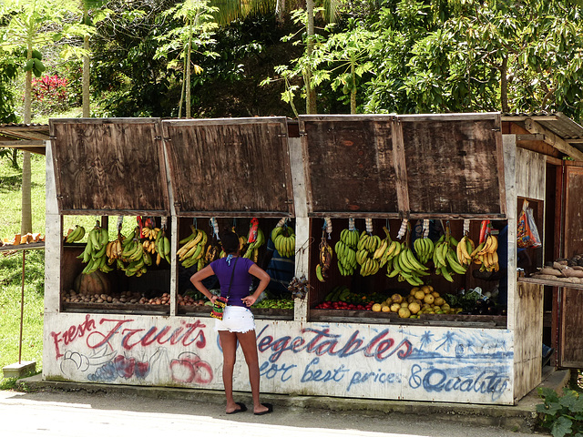 Fruit stand, Manzanilla Beach