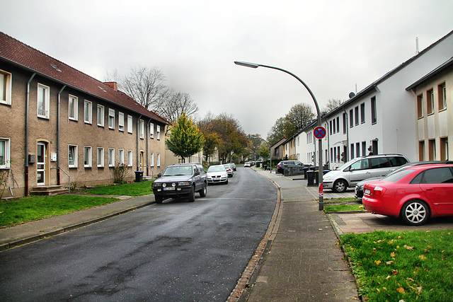 Stegerwaldstraße (Waltrop) / 2.11.2017