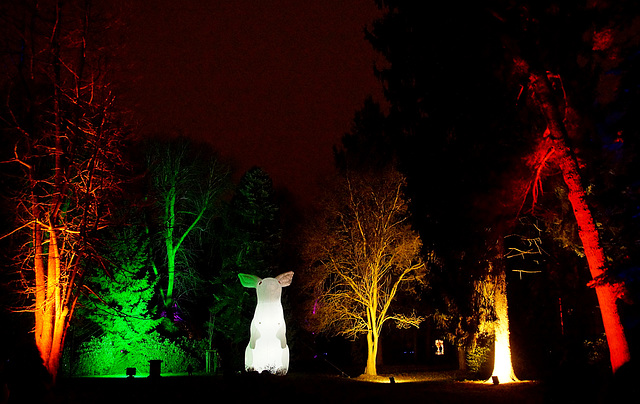 Illumination im Botanischen Garten