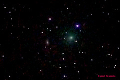 Comet Iwamoto
