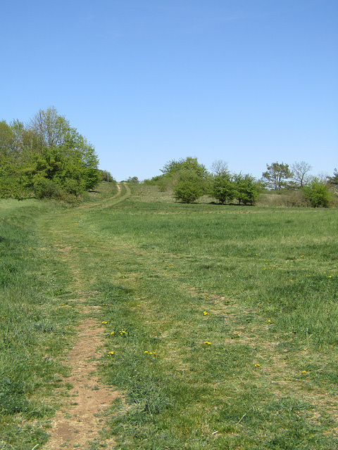 Wiesenweg