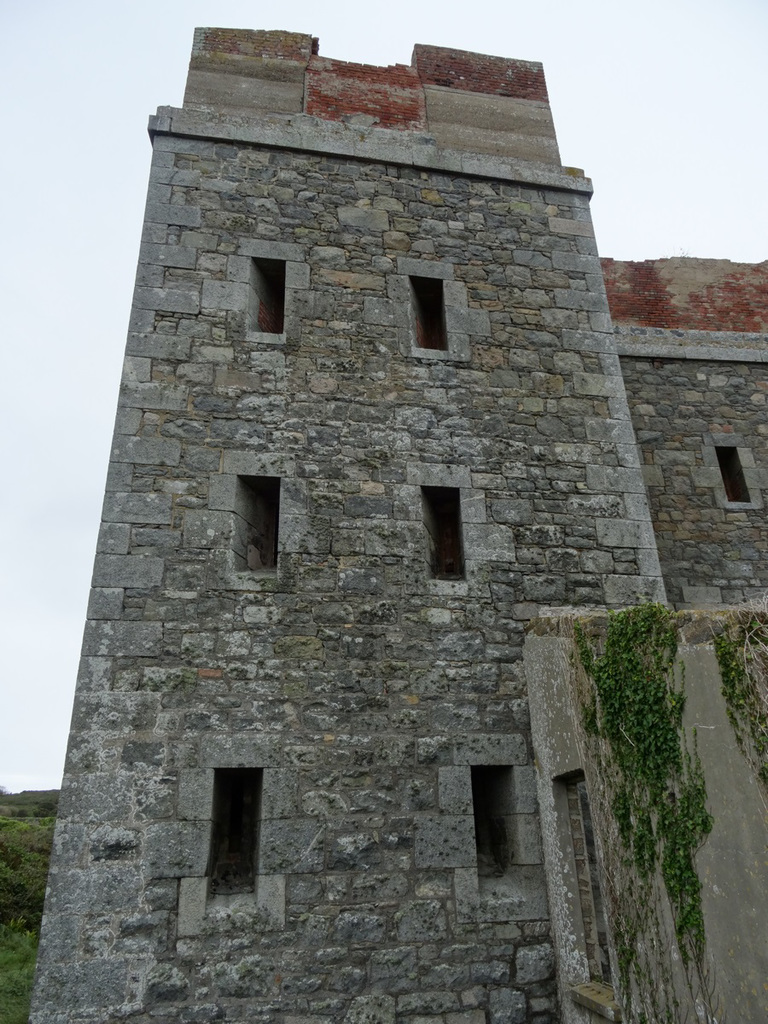 aysep2019ft (1128)
