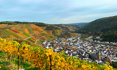 DE - Dernau - Herbstliche Weinberge