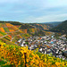 DE - Dernau - Herbstliche Weinberge