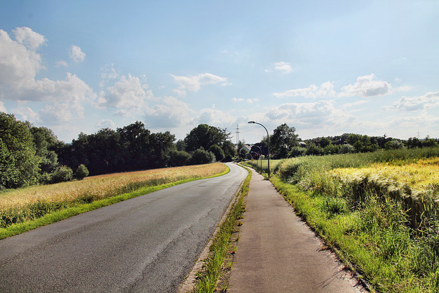 Strickherdicker Weg (Fröndenberg-Strickherdicke) / 11.06.2022