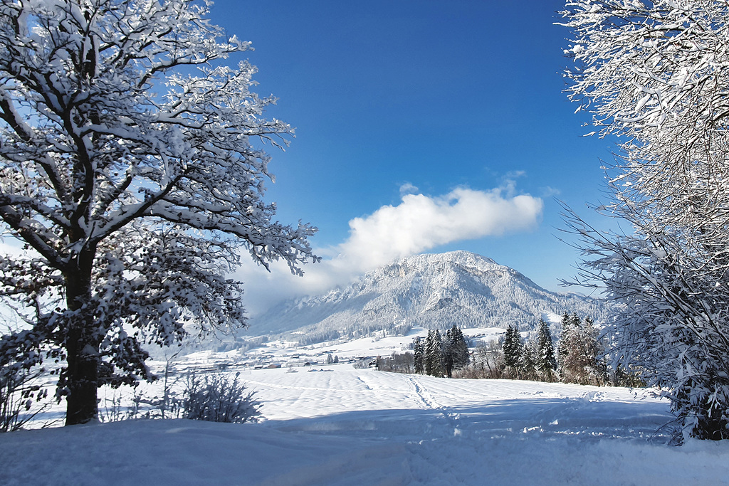 Wintry Tyrol