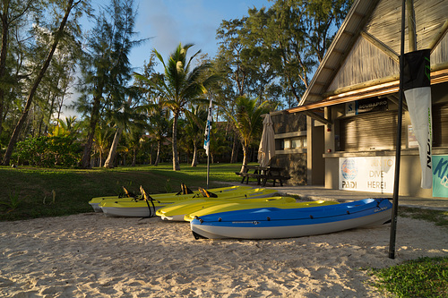 Mauritius Palmar DSC08612