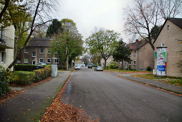 Husemannstraße (Waltrop) / 2.11.2017