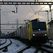 BÖ0007341