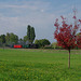 BÖ0013584