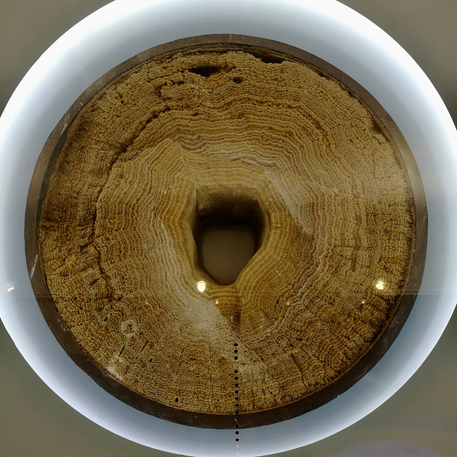 Lisbon 2018 – Museu da Água – Calcified pipe