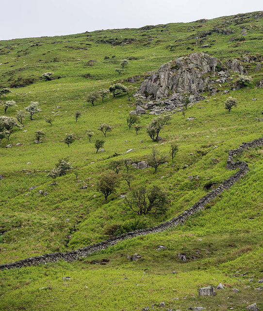 Snowdonia landscape6